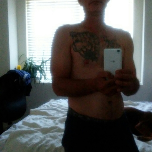 Meet your Posher, Albedella - Picture 2 of 2